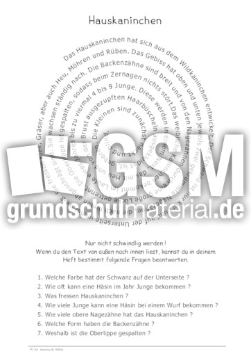 Hauskaninchen.pdf